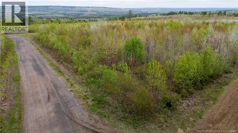 LOT 38 Davidson Road — photo 10 of 18