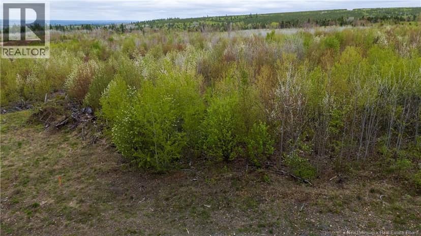 LOT 38 Davidson Road — photo 13 of 18