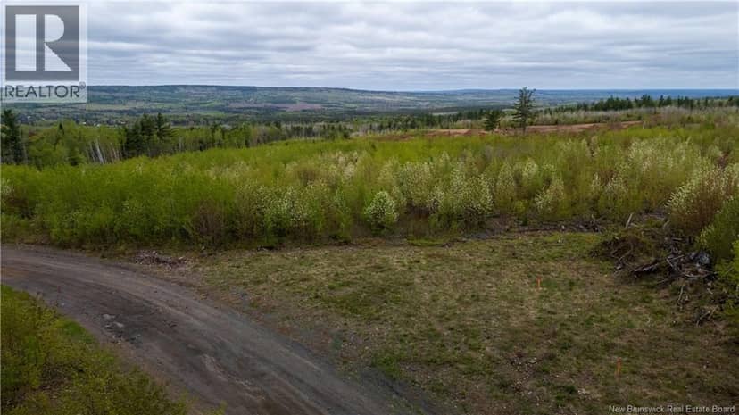 LOT 38 Davidson Road — photo 14 of 18