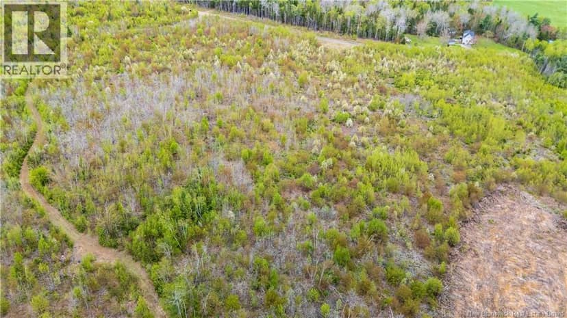 LOT 38 Davidson Road — photo 4 of 18