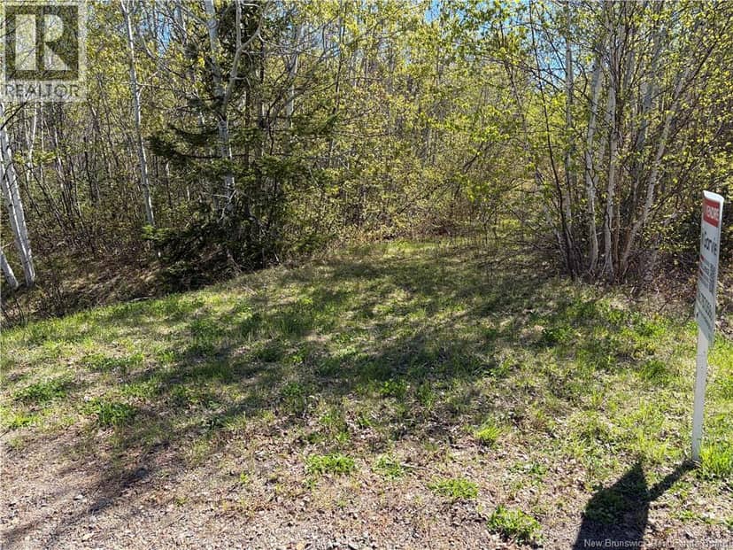 Vacant Lot Noel Road — photo 5 of 6