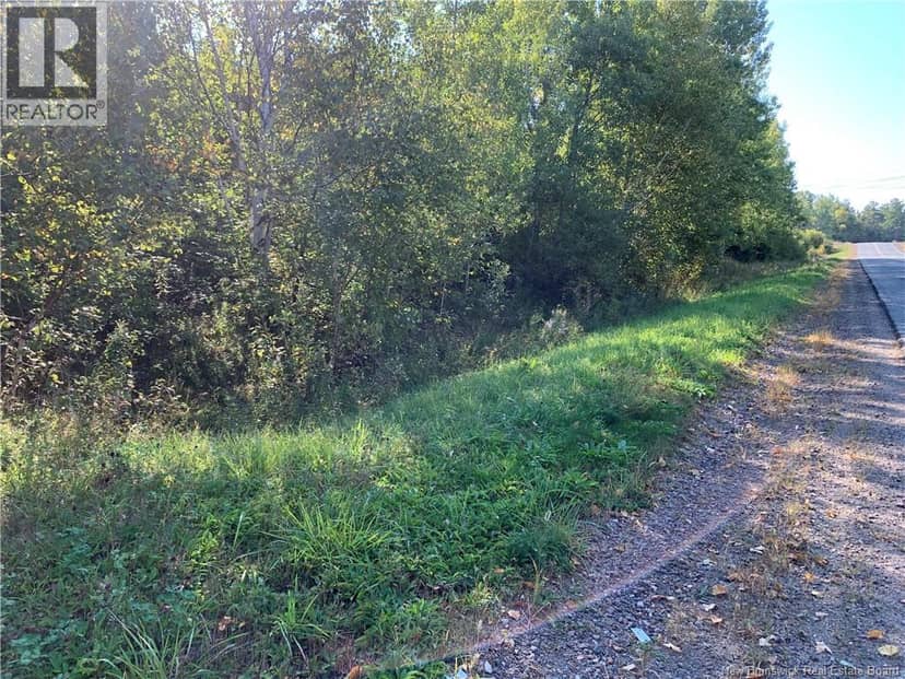 Vacant Lot Noel Road — photo 3 of 6