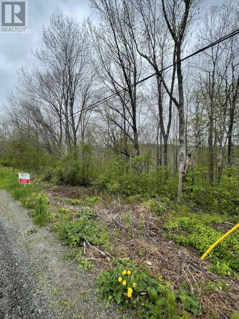 Acreage Brierly Brook Road, Antigonish, photo 4