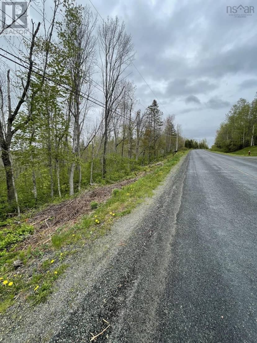 Acreage Brierly Brook Road, Antigonish, photo 5