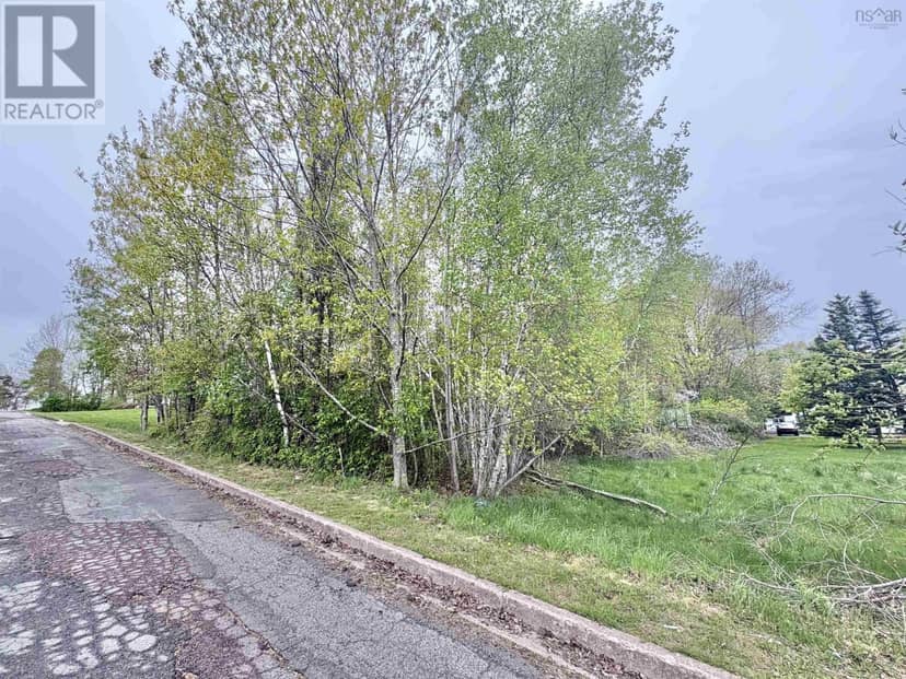 Lot Eighth Street, Trenton, photo 5