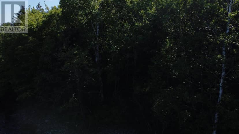 Lot 04-12 Nature Dream P Boulevard — photo 18 of 18