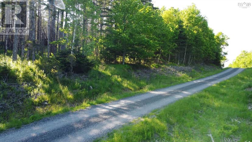 Lot 04-12 Nature Dream P Boulevard, Roberta, photo 2