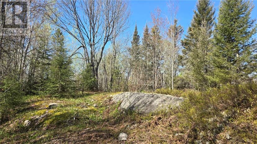 Lot 6 Con 3 Rabbit Trail Road, Warren, photo 2