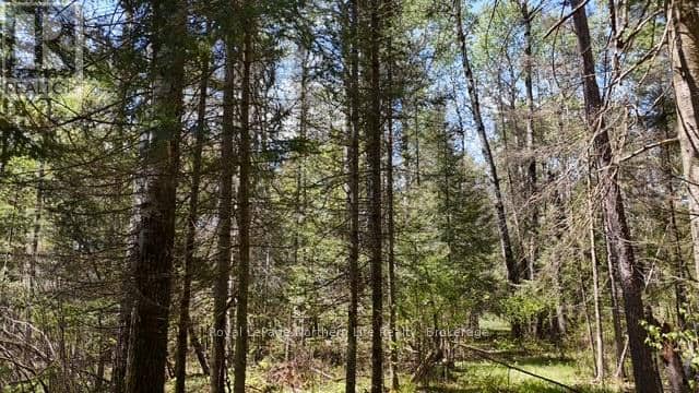 Rd - 576 Hart Road — photo 13 of 16