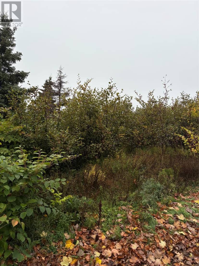 555-559 Marine Drive — photo 12 of 13