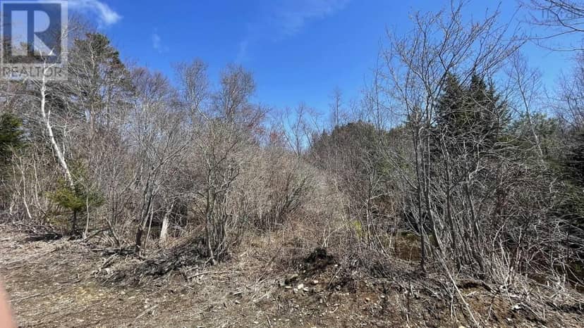 Lot 3 Jordantown Cross Road — photo 10 of 23