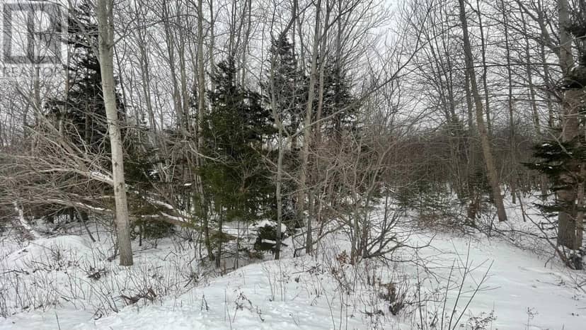 Lot 3 Jordantown Cross Road — photo 21 of 23