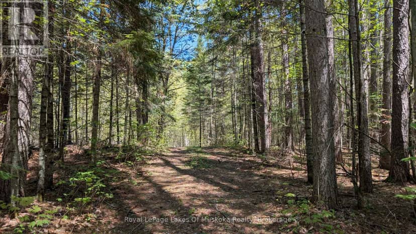 386 Locke's Road — photo 25 of 34