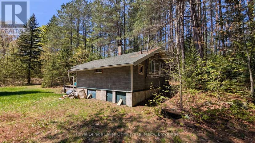 386 Locke's Road — photo 9 of 34