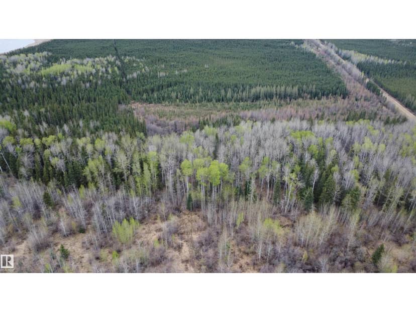 Hwy 2 RR 263 — photo 15 of 40