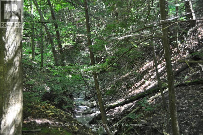 Lot 21 Bayshore Road — photo 12 of 20