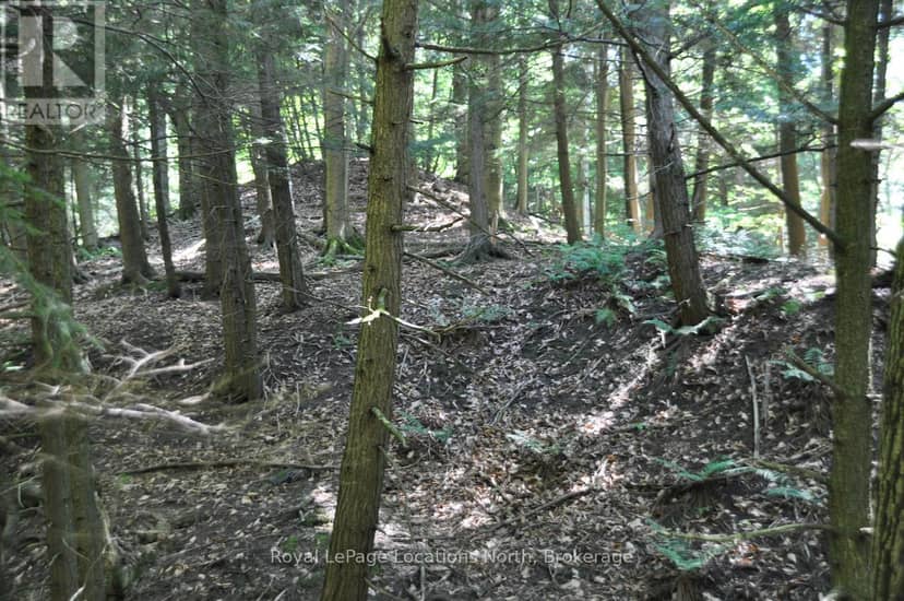 Lot 21 Bayshore Road — photo 13 of 20