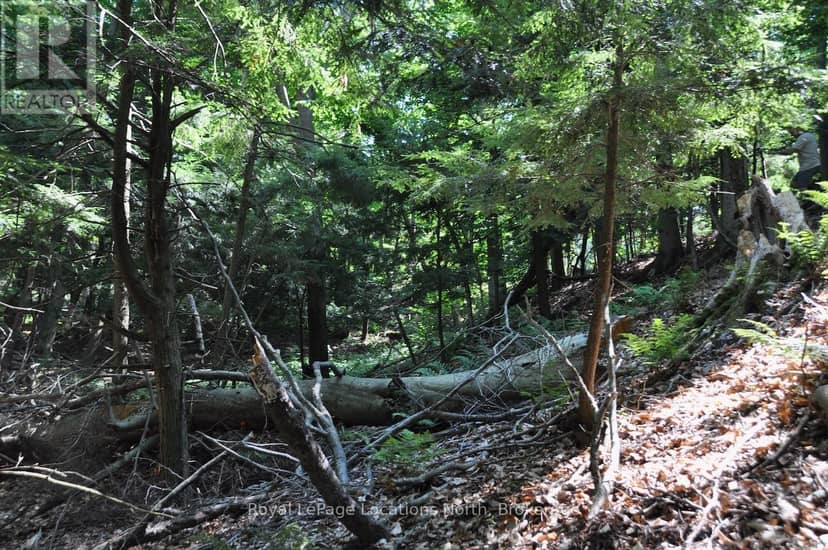 Lot 21 Bayshore Road — photo 15 of 20