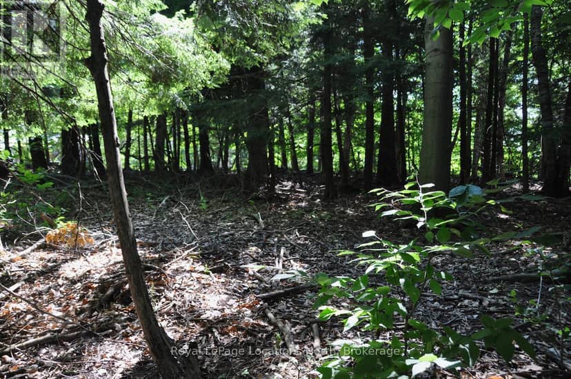 Lot 21 Bayshore Road — photo 17 of 20