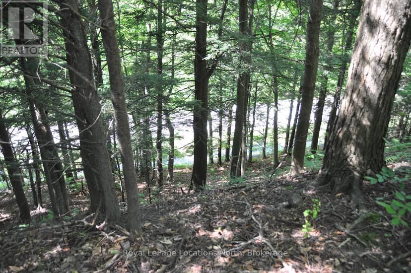 Lot 21 Bayshore Road — photo 19 of 20