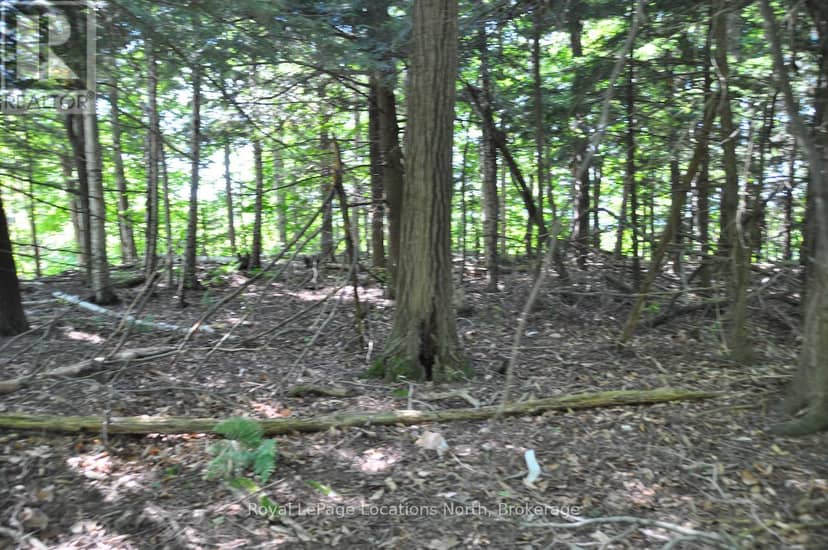 Lot 21 Bayshore Road — photo 4 of 20