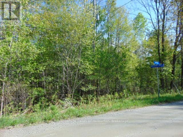 Lot 11 Plan 580 North Drive, Dysart et al, photo 2