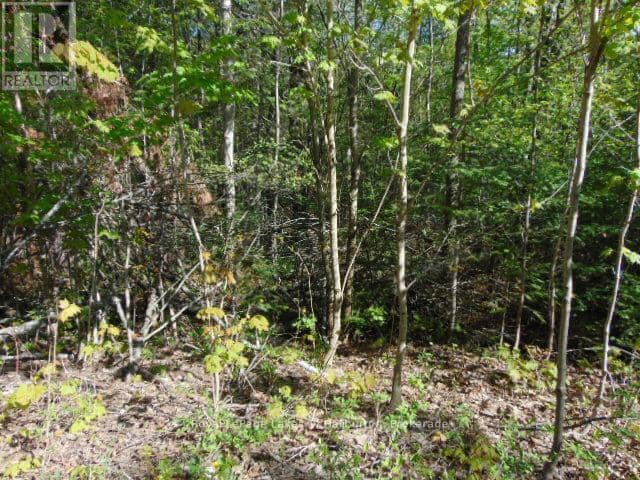 Lot 11 Plan 580 North Drive — photo 9 of 12