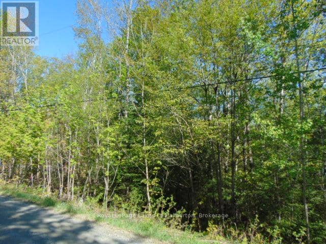 Lot 11 Plan 580 North Drive, Dysart et al, photo 3