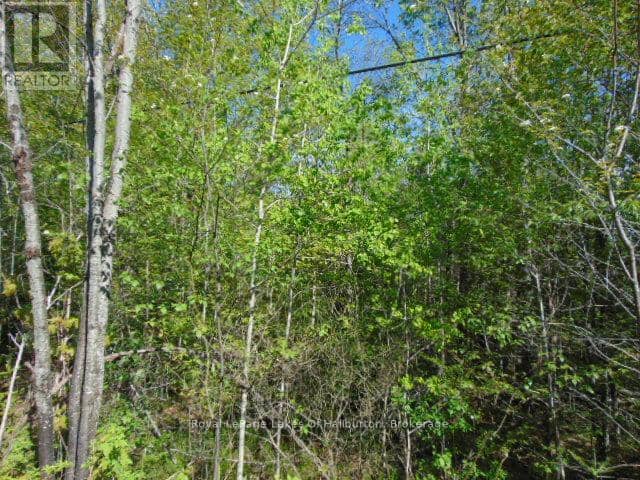 Lot 11 Plan 580 North Drive, Dysart et al, photo 4