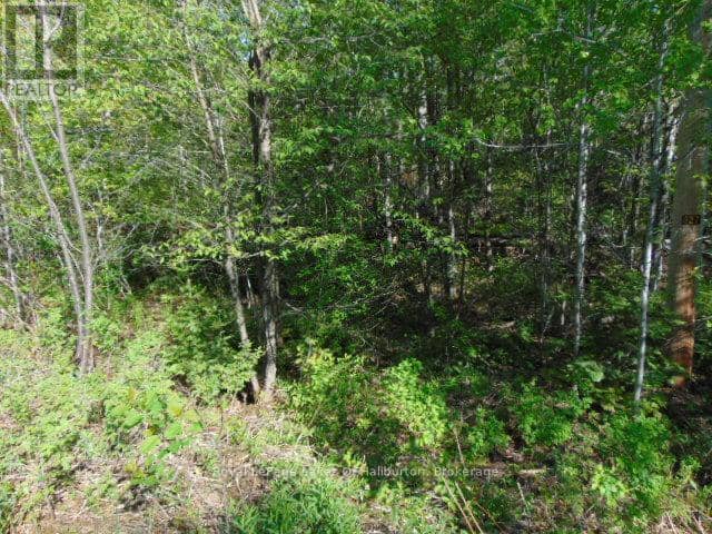 Lot 11 Plan 580 North Drive, Dysart et al, photo 5