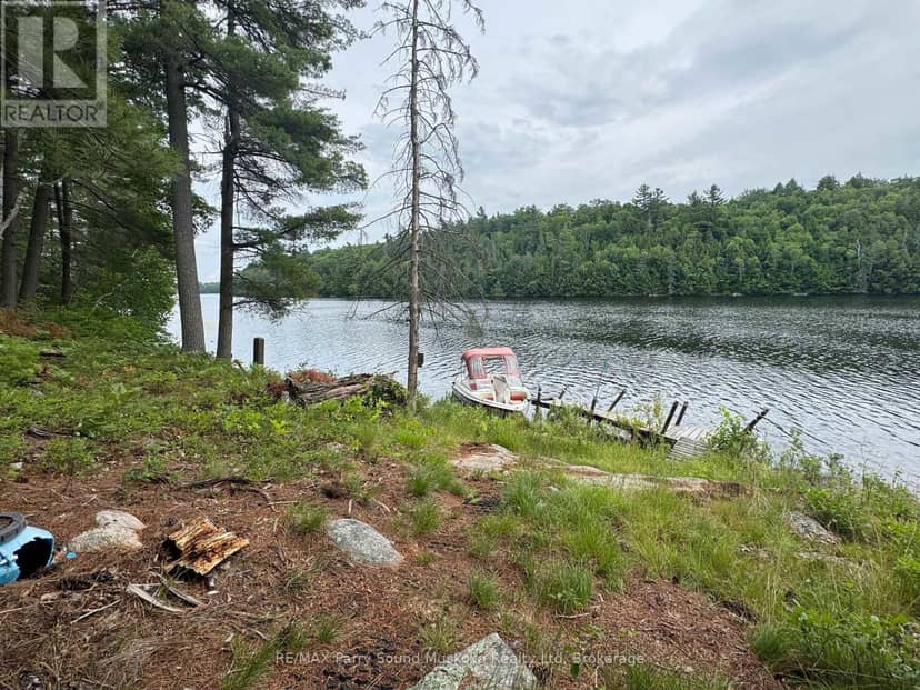 2 Wolf River — photo 13 of 24