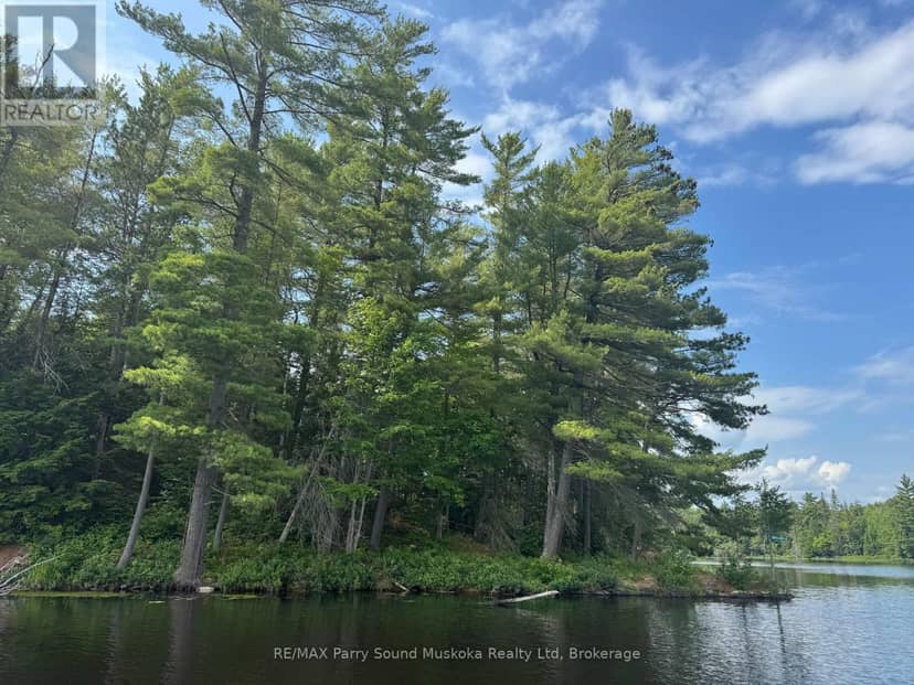 2 Wolf River — photo 23 of 24