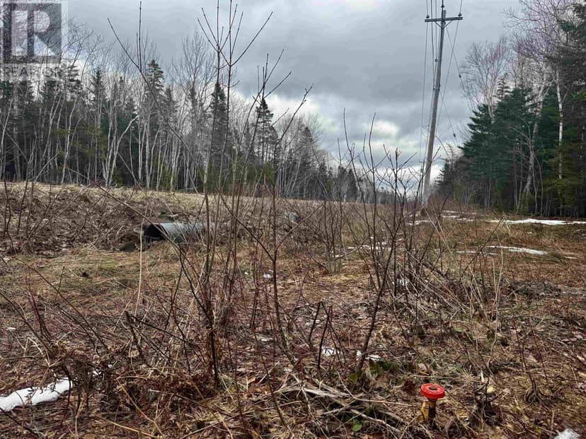 Basin Rd. — photo 3 of 14