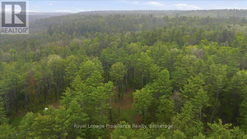 1419 Turtle Lake Lane — photo 11 of 21