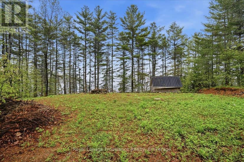 1419 Turtle Lake Lane — photo 15 of 21