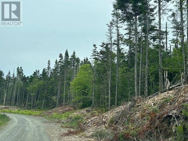 Salmon River Road — photo 5 of 5