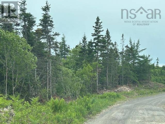 Salmon River Road — photo 2 of 5