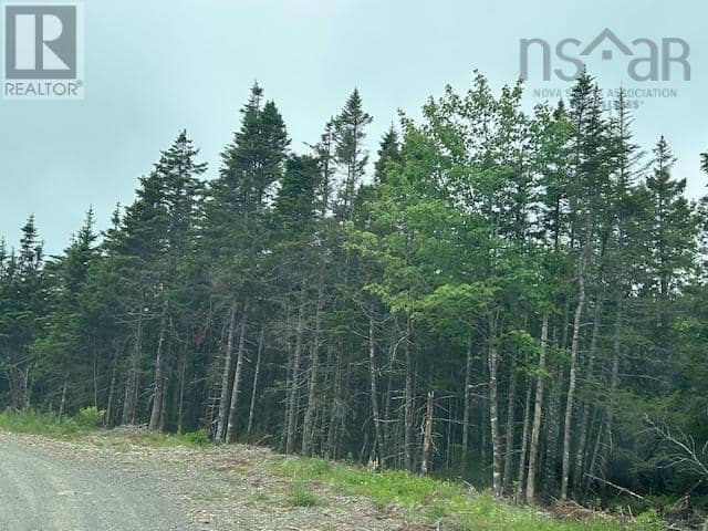 Salmon River Road — photo 3 of 5