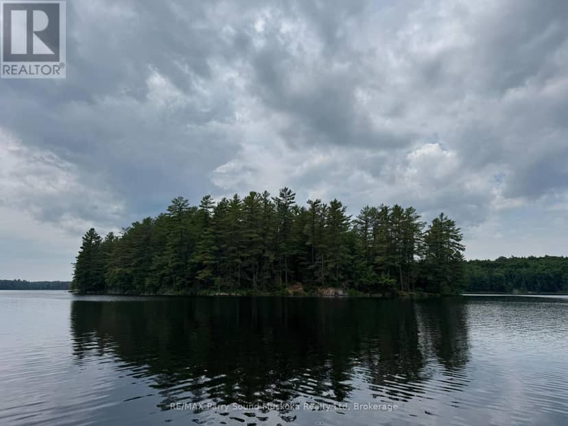 2 Wolf River — photo 3 of 24