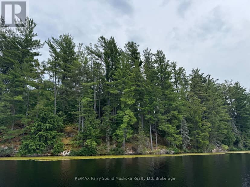 2 Wolf River — photo 5 of 24