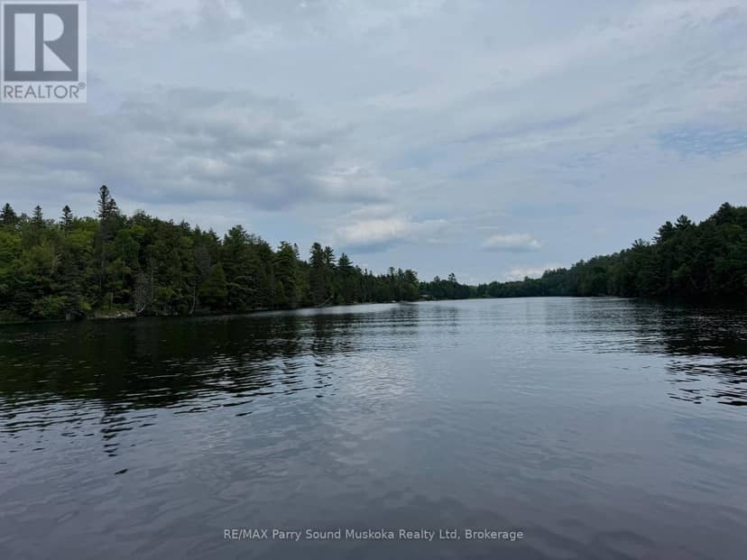 2 Wolf River — photo 4 of 24
