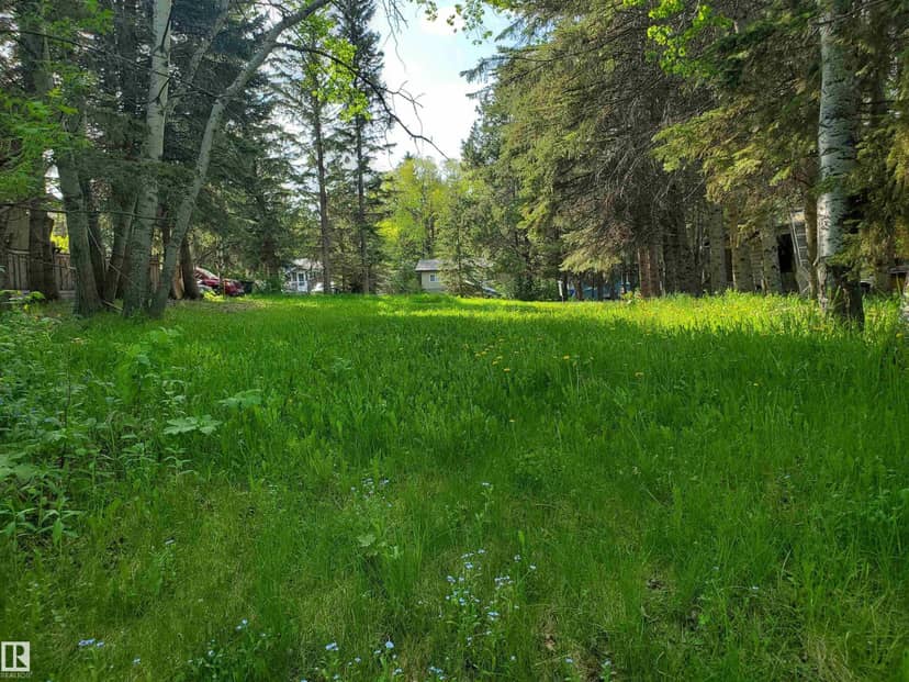 516 5 Norris Beach Pigeon Lake ST, Rural Wetaskiwin County, photo 2