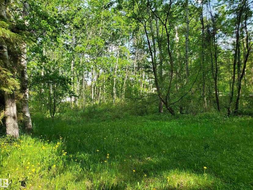 516 5 Norris Beach Pigeon Lake ST, Rural Wetaskiwin County, photo 3