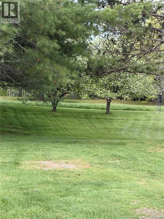 228 Upper Mills Road — photo 3 of 15
