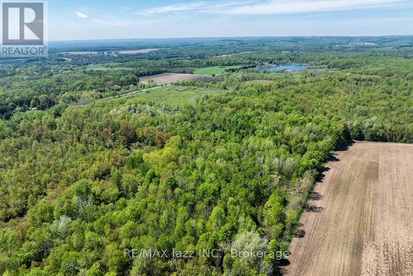 4148 Highway #2, Clarington, photo 5