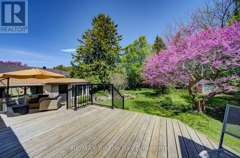 31 Saunders Street — photo 28 of 40