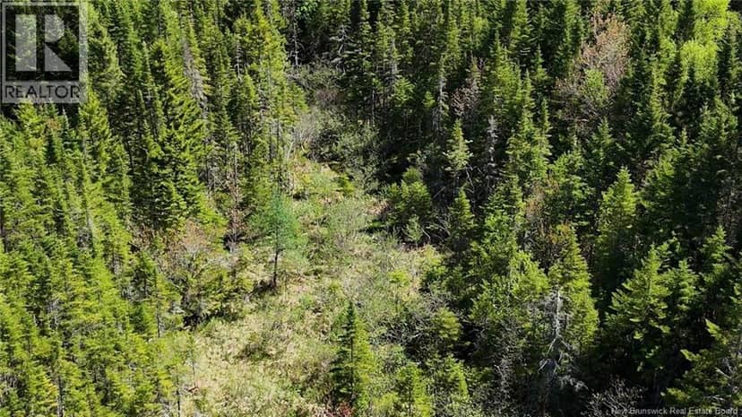 Lot Otter Lake Road, Baxters Corner, photo 4
