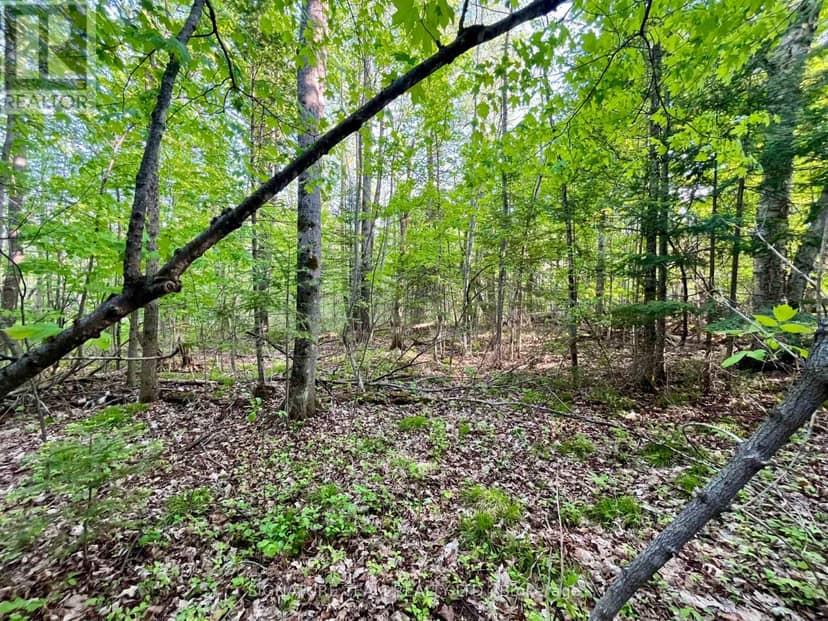 Pt Lt 9 Foymount Road, Bonnechere Valley, photo 7