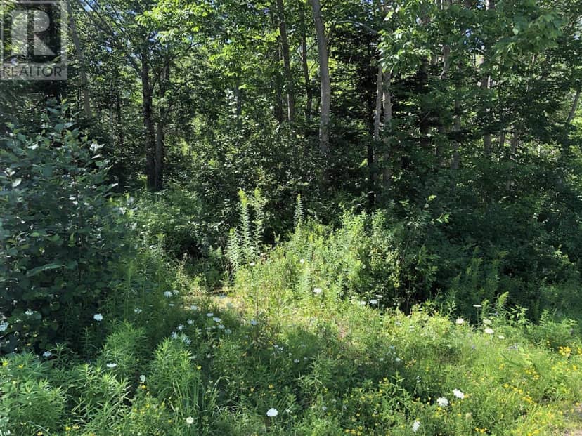 Lot Lighthouse Road — photo 7 of 13