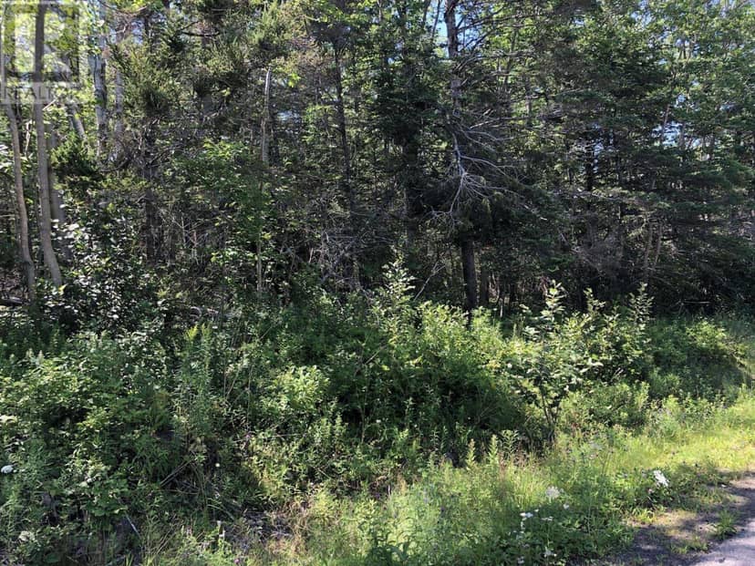 Lot Lighthouse Road — photo 9 of 13
